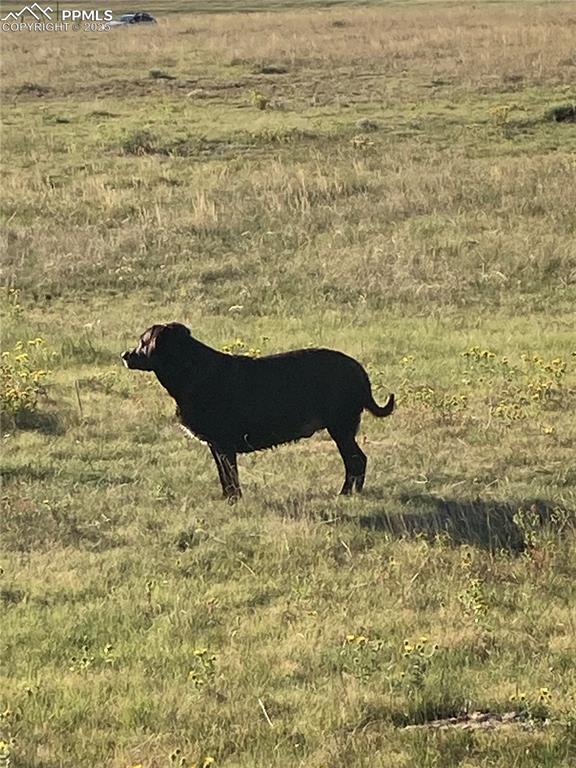 20490 Lemesany Road Calhan, CO 80808 - Photo 29 of 31