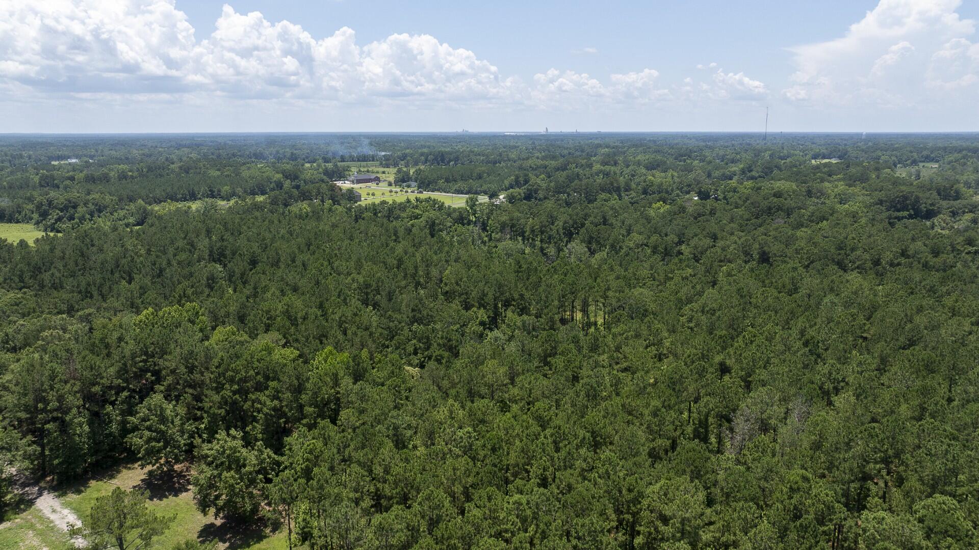 0 Toney Bay Road, Unit 3 Holly Hill, SC 29059 - Photo 29 of 36 Toney Bay-29