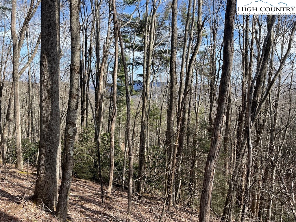 3 Jackson Ridge Road Boone, NC 28607 - Photo 12 of 16 a view of outdoor space