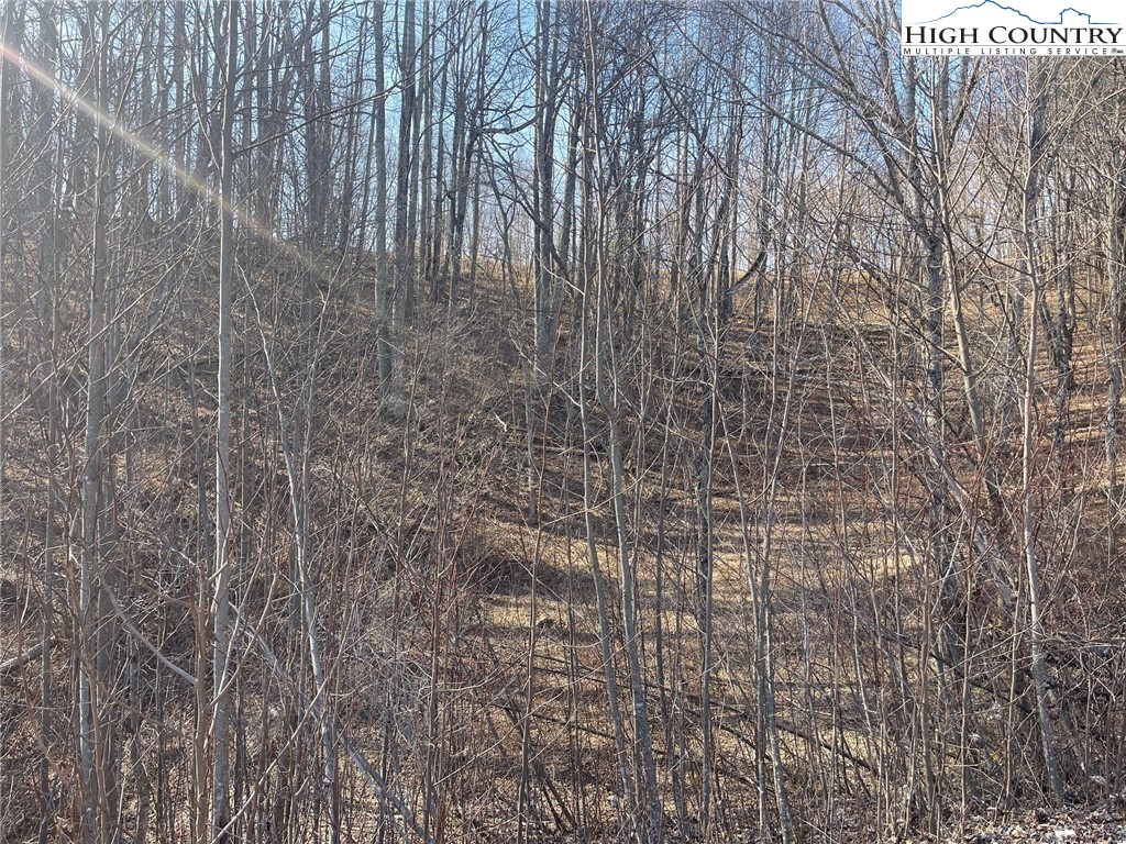3 Jackson Ridge Road Boone, NC 28607 - Photo 15 of 16 a bathroom with a shower