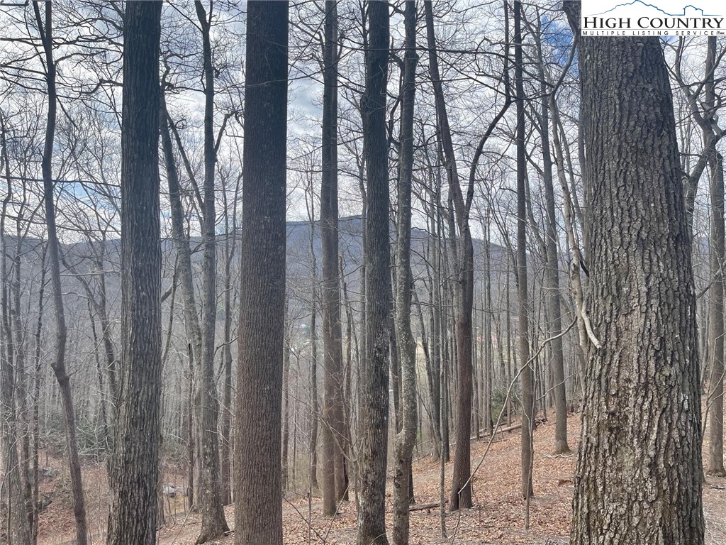 3 Jackson Ridge Road Boone, NC 28607 - Photo 4 of 16 a view of outdoor space with wooden fence