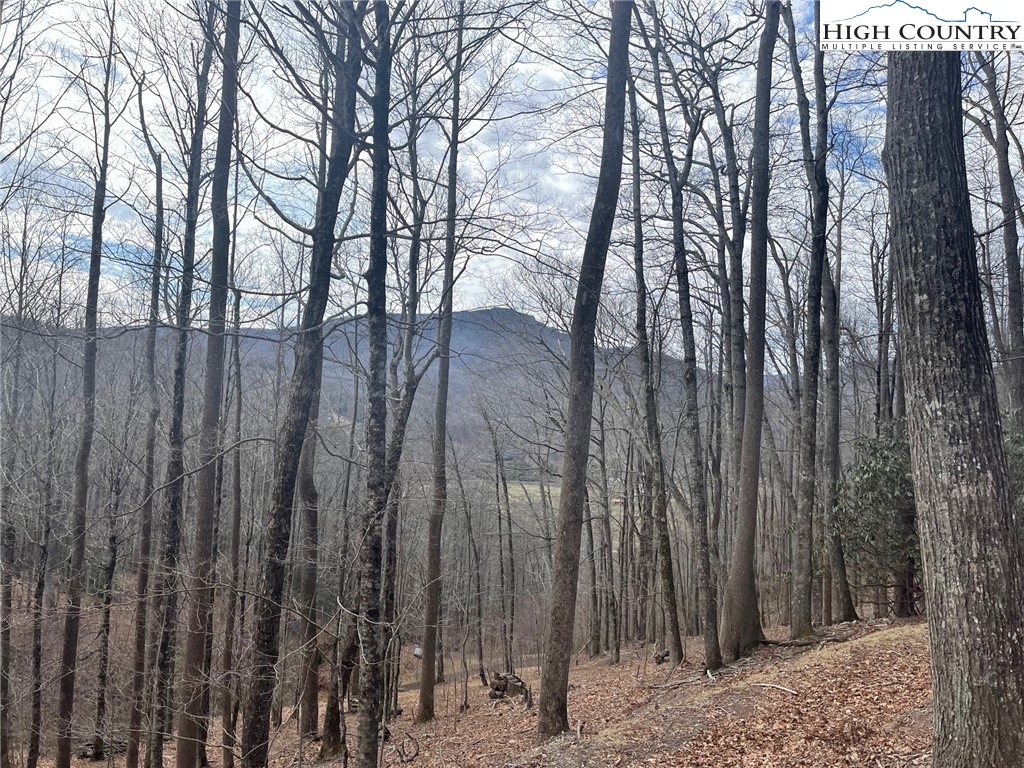 3 Jackson Ridge Road Boone, NC 28607 - Photo 5 of 16 a view of backyard with trees
