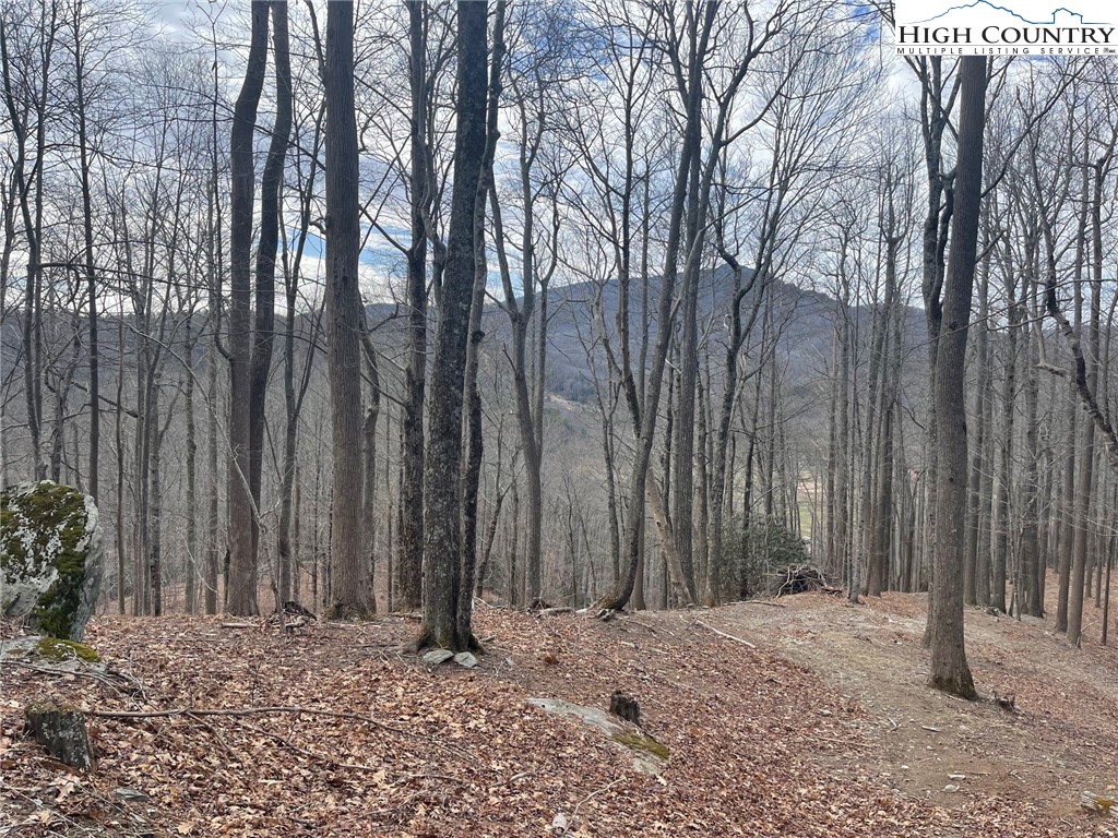 3 Jackson Ridge Road Boone, NC 28607 - Photo 6 of 16 a wooden fence covered with tall trees