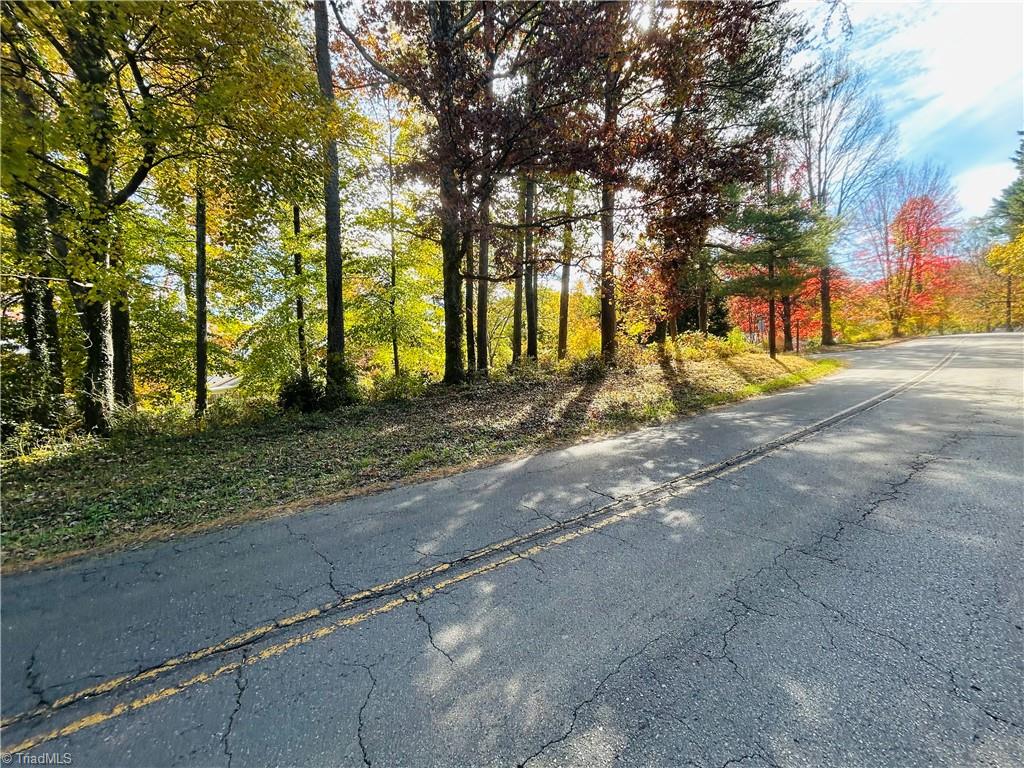 Tbd Old Springs Road Mount Airy, NC 27030 - Photo 12 of 17