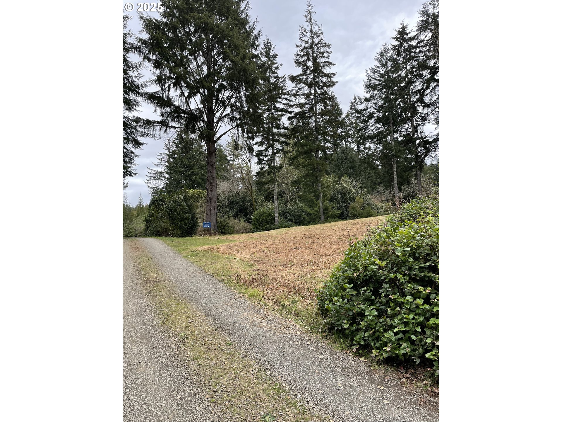 Green Gate Road Florence, OR 97439 - Photo 1 of 19 Gallery Image 1