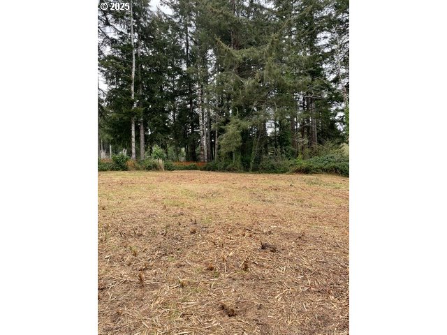 Green Gate Road Florence, OR 97439 - Photo 11 of 19 Gallery Image 11