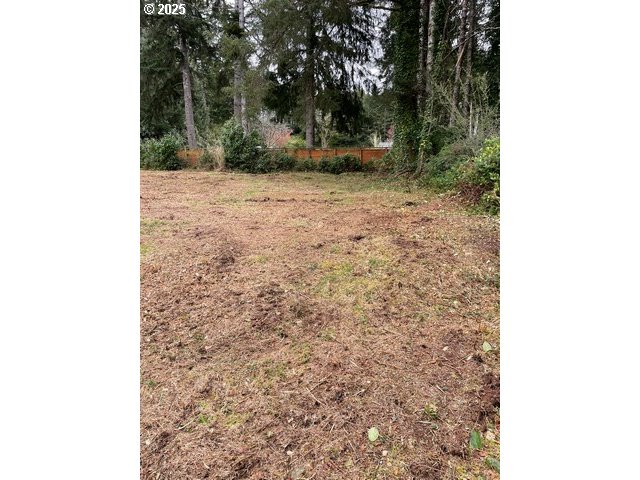 Green Gate Road Florence, OR 97439 - Photo 13 of 19 Gallery Image 13