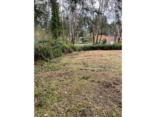 Green Gate Road Florence, OR 97439 - Photo 14 of 19 Gallery Image 14