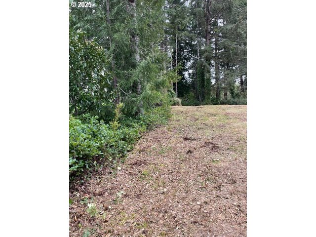 Green Gate Road Florence, OR 97439 - Photo 15 of 19 Gallery Image 15