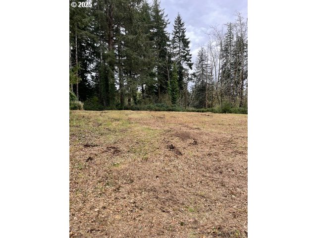Green Gate Road Florence, OR 97439 - Photo 16 of 19 Gallery Image 16