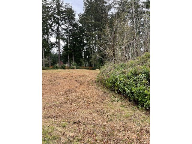 Green Gate Road Florence, OR 97439 - Photo 17 of 19 Gallery Image 17