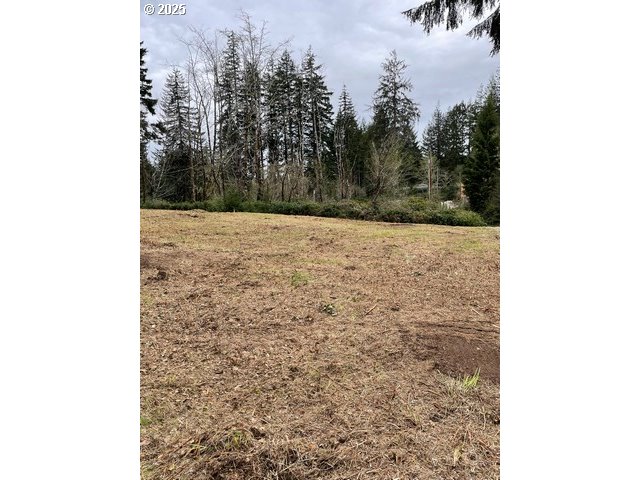 Green Gate Road Florence, OR 97439 - Photo 18 of 19 Gallery Image 18