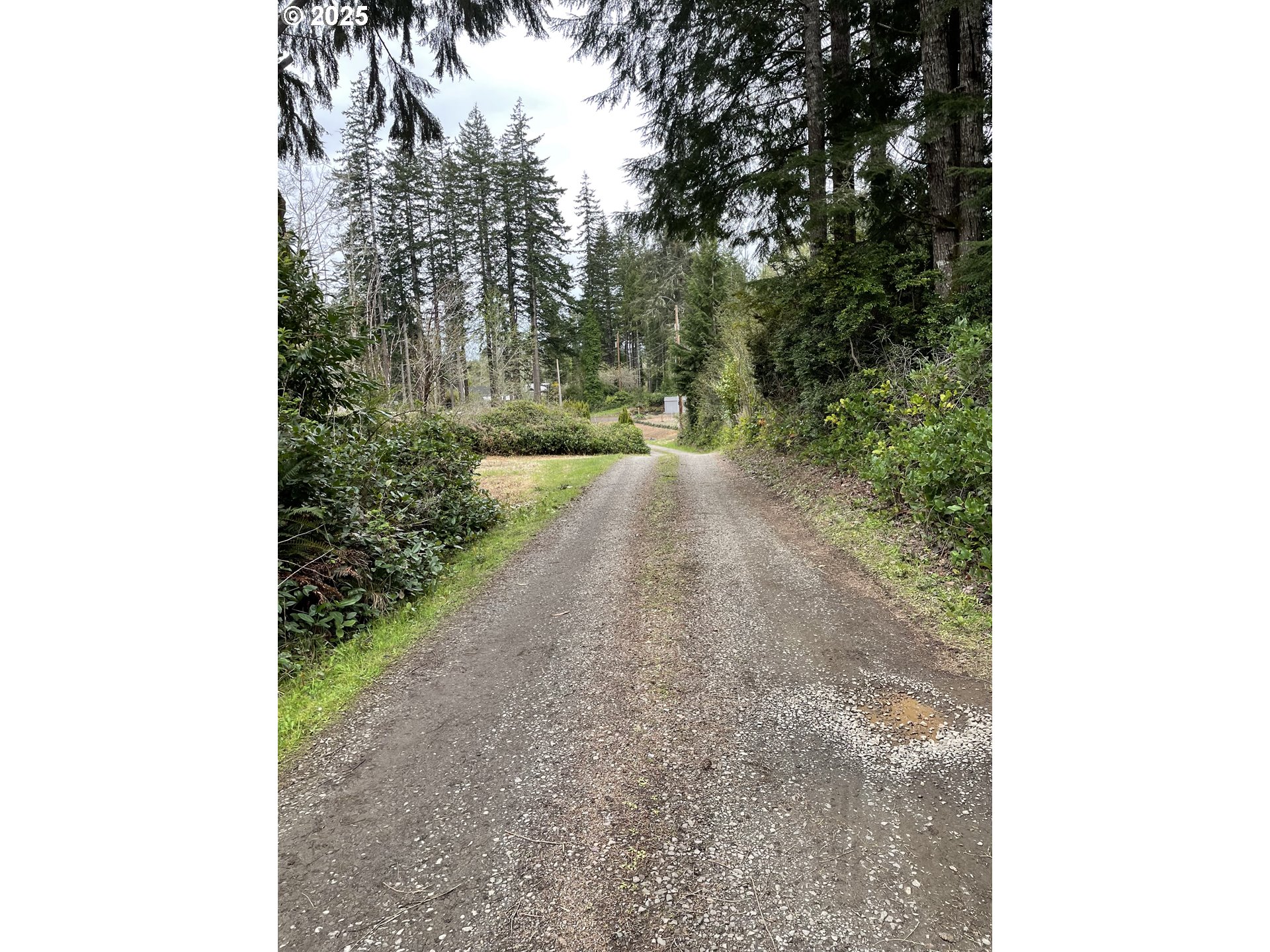 Green Gate Road Florence, OR 97439 - Photo 2 of 19 Gallery Image 2