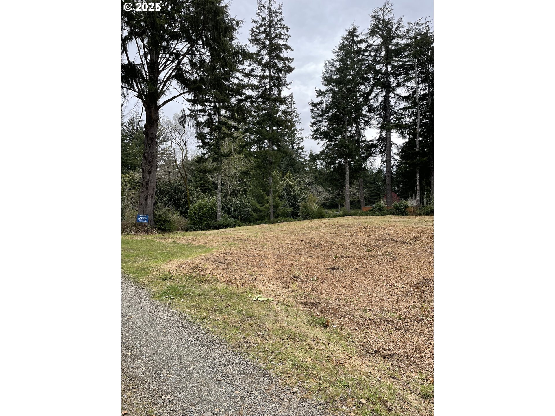Green Gate Road Florence, OR 97439 - Photo 3 of 19 Gallery Image 3