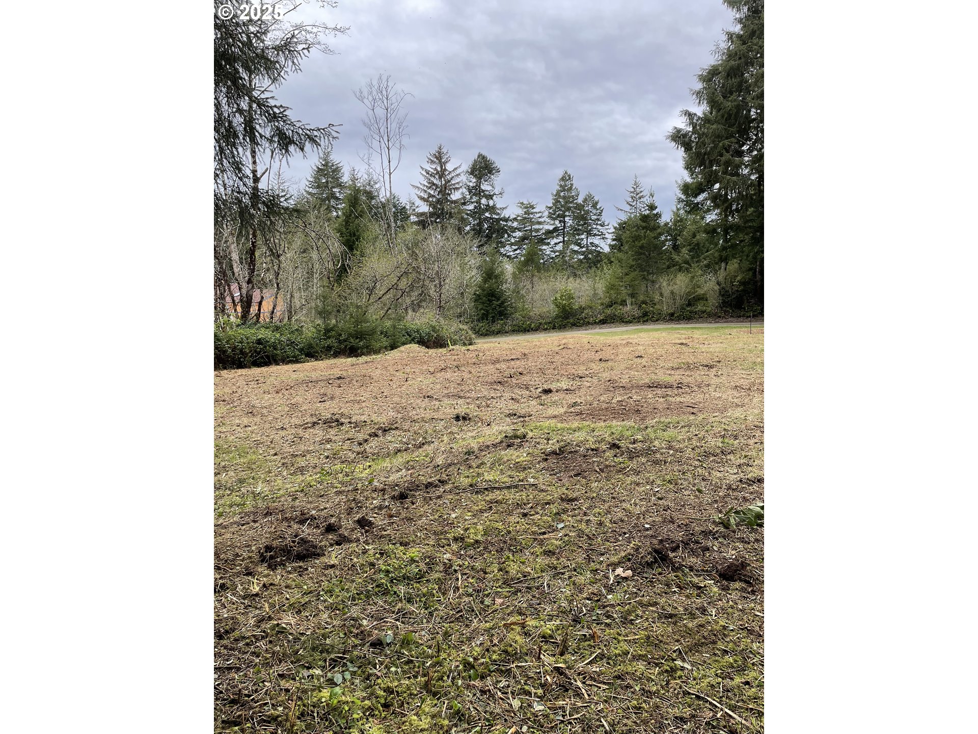 Green Gate Road Florence, OR 97439 - Photo 4 of 19 Gallery Image 4