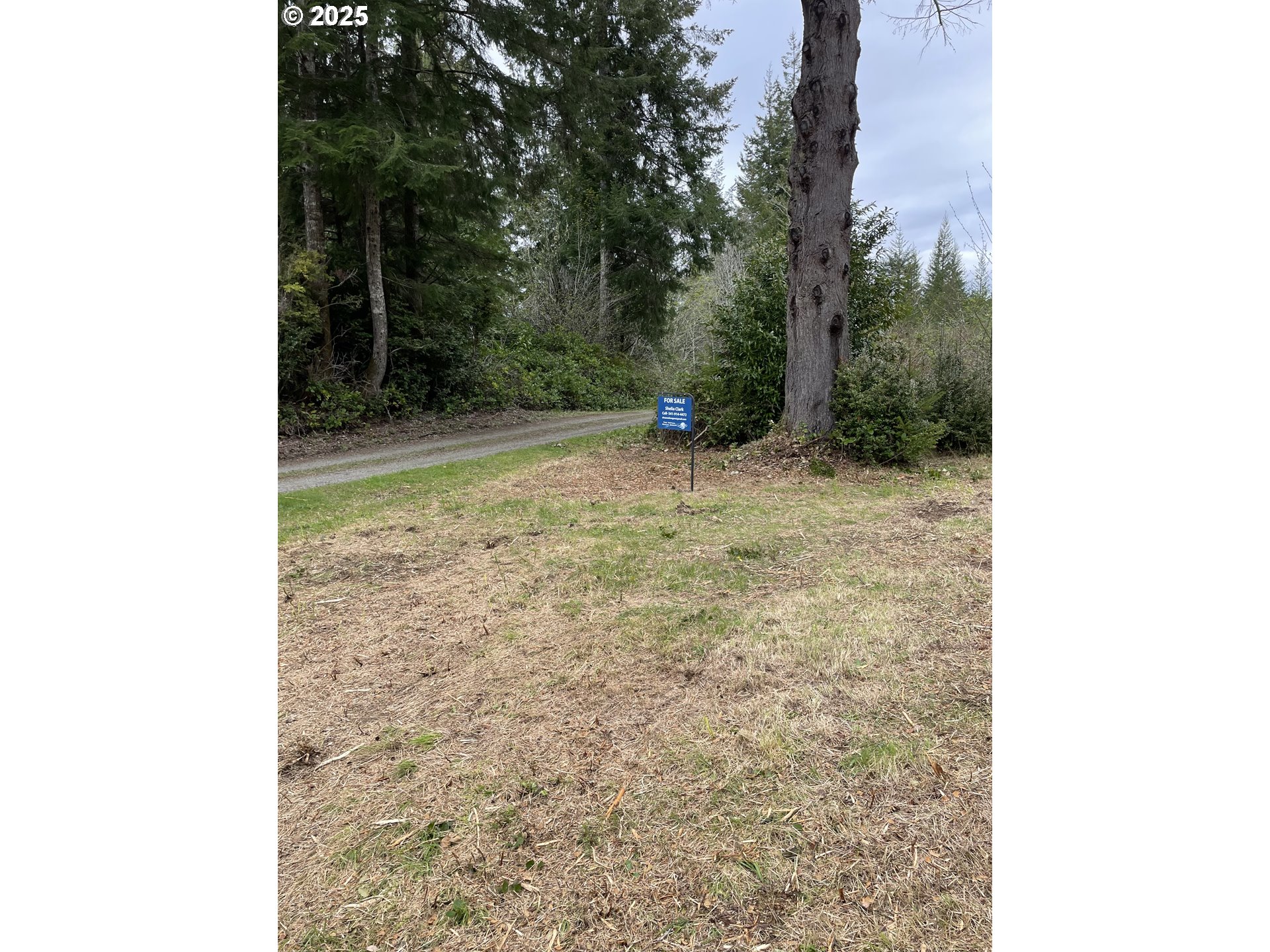 Green Gate Road Florence, OR 97439 - Photo 5 of 19 Gallery Image 5
