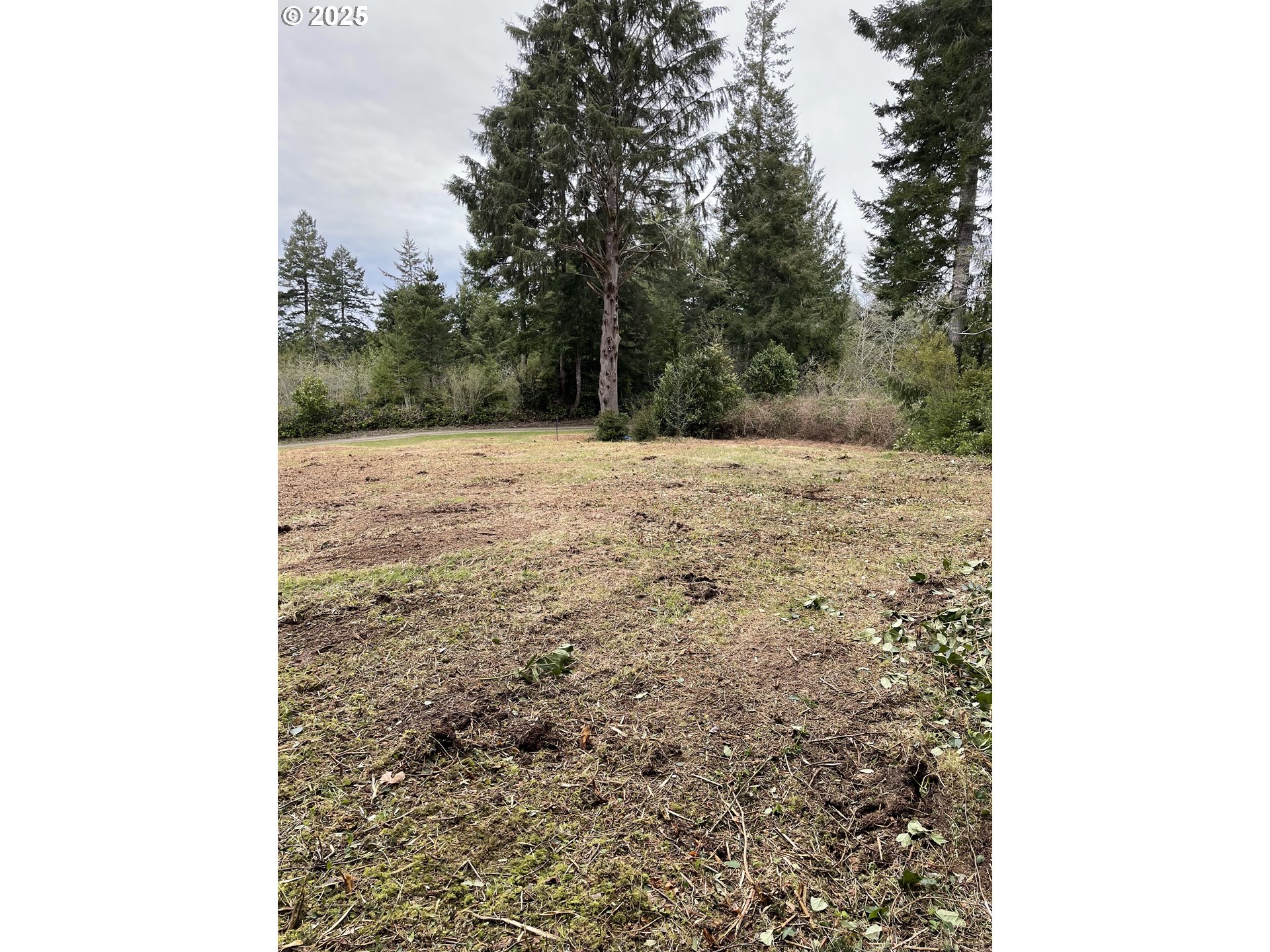 Green Gate Road Florence, OR 97439 - Photo 6 of 19 Gallery Image 6