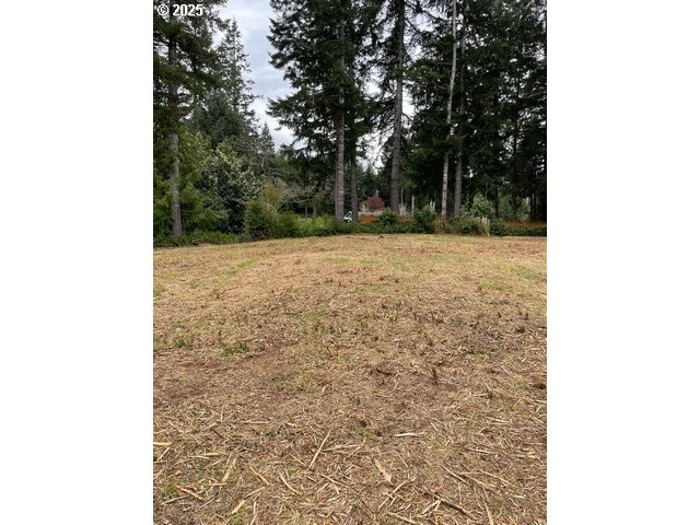 Green Gate Road Florence, OR 97439 - Photo 10 of 19 Gallery Image 10