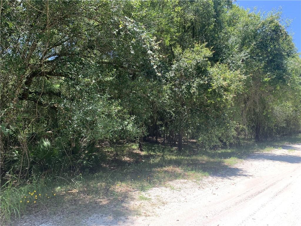Ne River Arcadia, FL 34266 - Photo 1 of 1 Gallery Image 1
