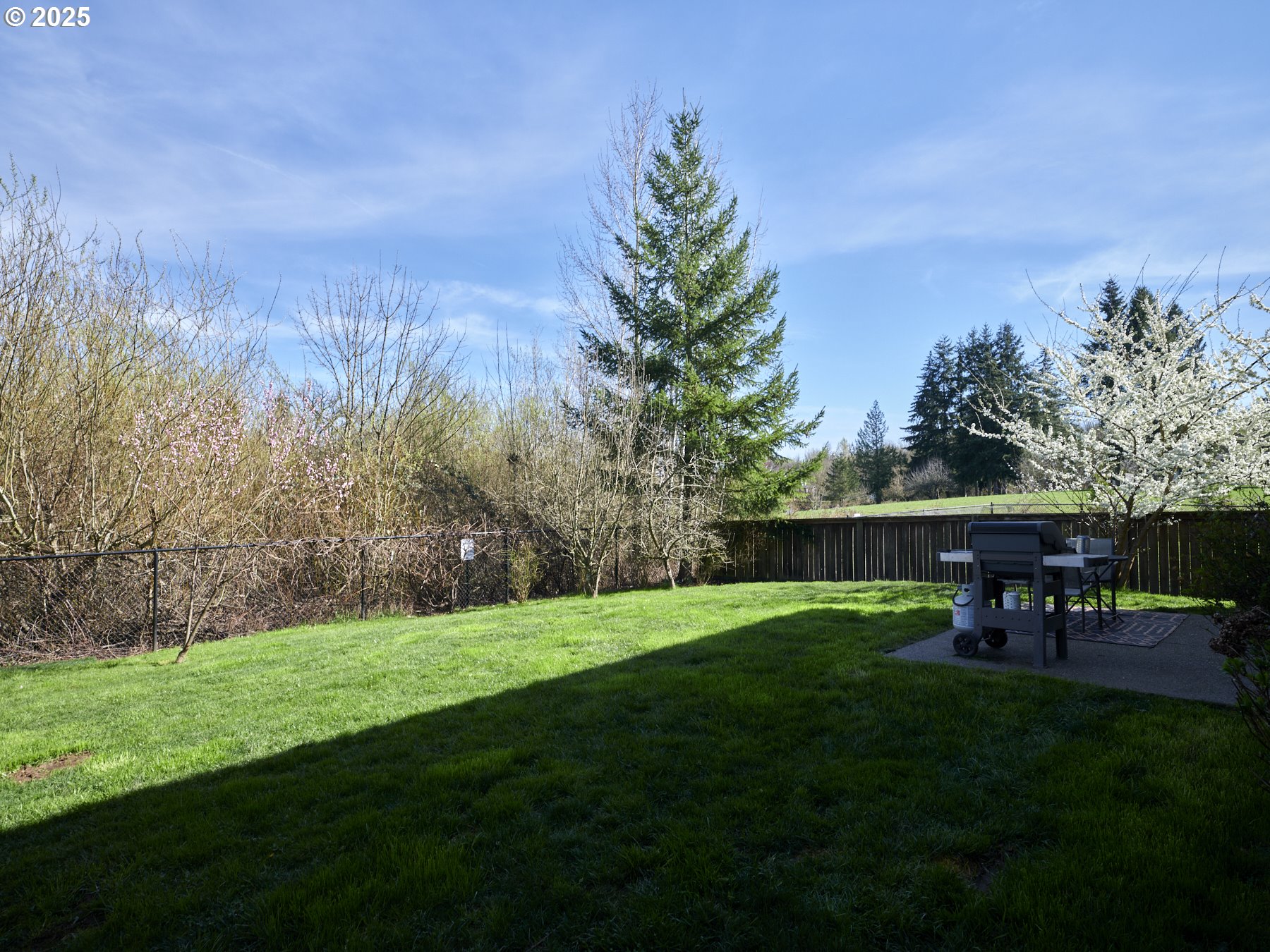 260 North Green Gables Loop Ridgefield, WA 98642 - Photo 37 of 41 Backyard