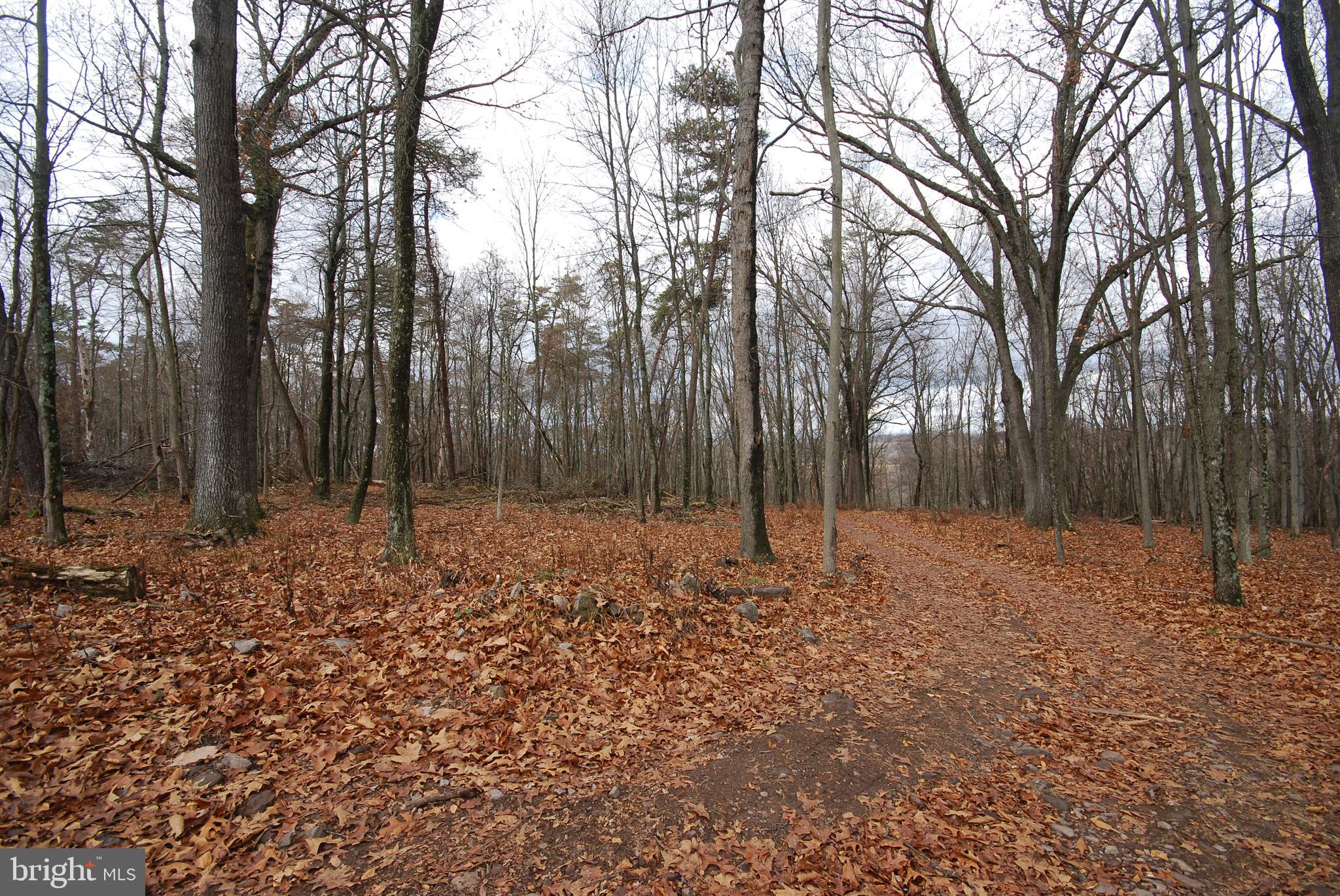 Lot 70-71 Mill Mountain Road Romney, WV 26757 - Photo 27 of 52