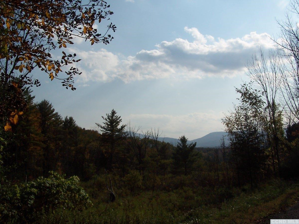 484 Saybrook Valley Road Durham, NY 12120 - Photo 1 of 10 a view of a yard
