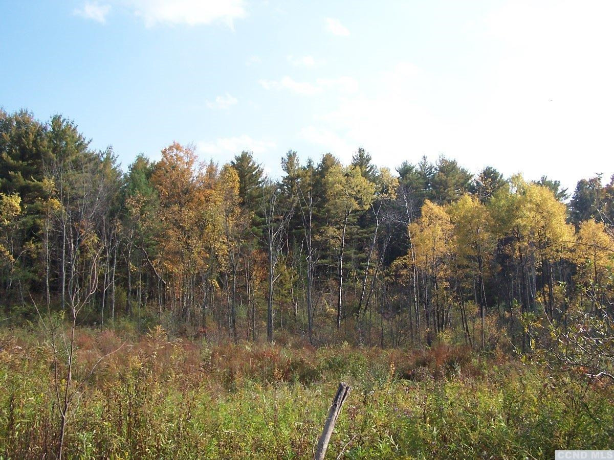 484 Saybrook Valley Road Durham, NY 12120 - Photo 2 of 10 a view of a lake with lots of trees