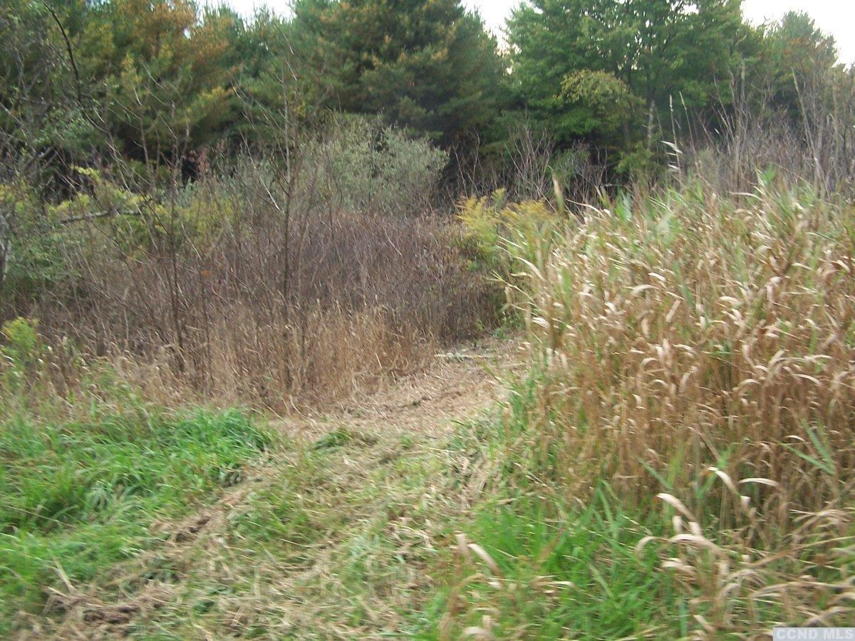 484 Saybrook Valley Road Durham, NY 12120 - Photo 4 of 10 a view of a lake with a yard