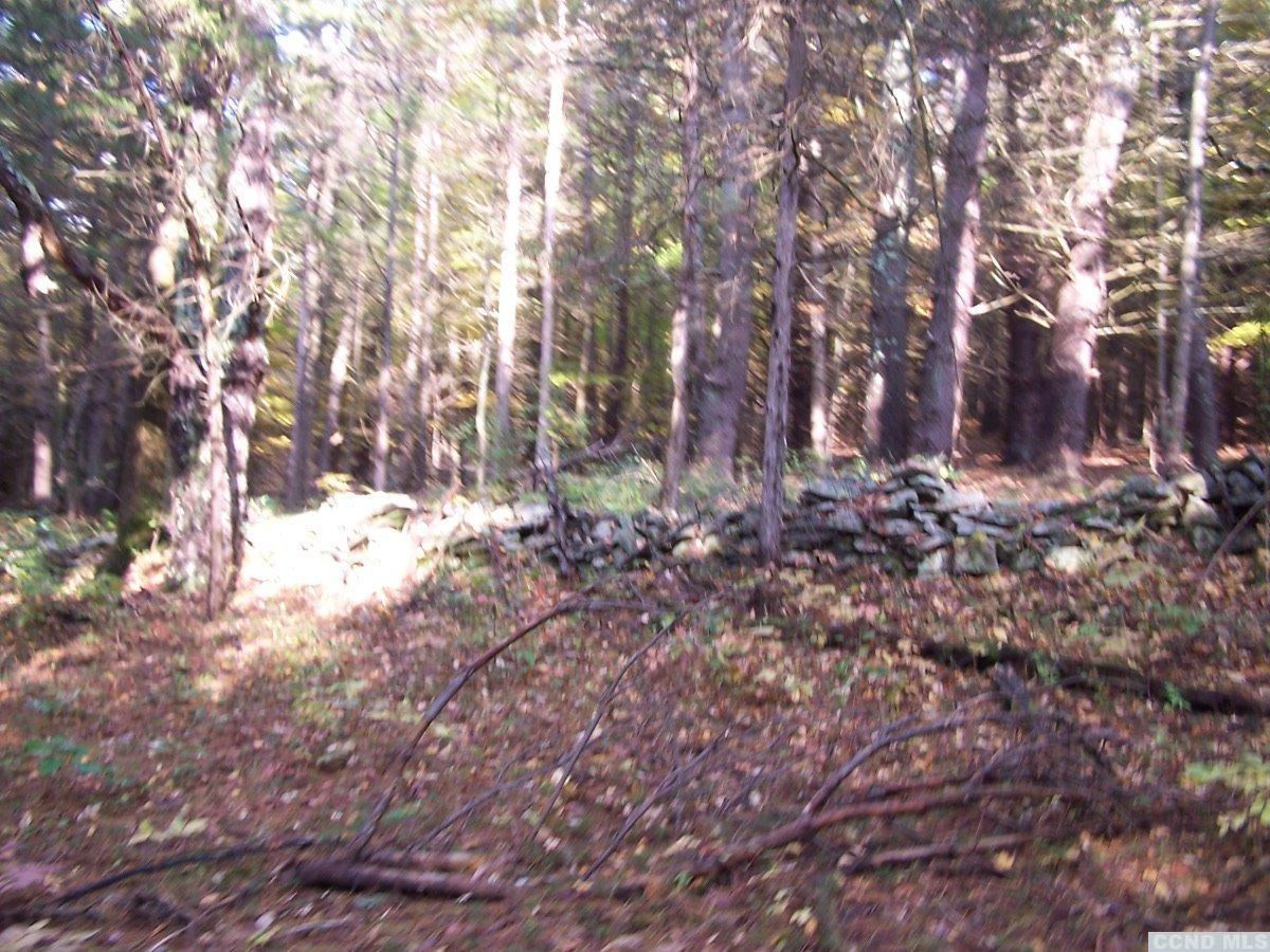 484 Saybrook Valley Road Durham, NY 12120 - Photo 6 of 10 a view of covered with trees
