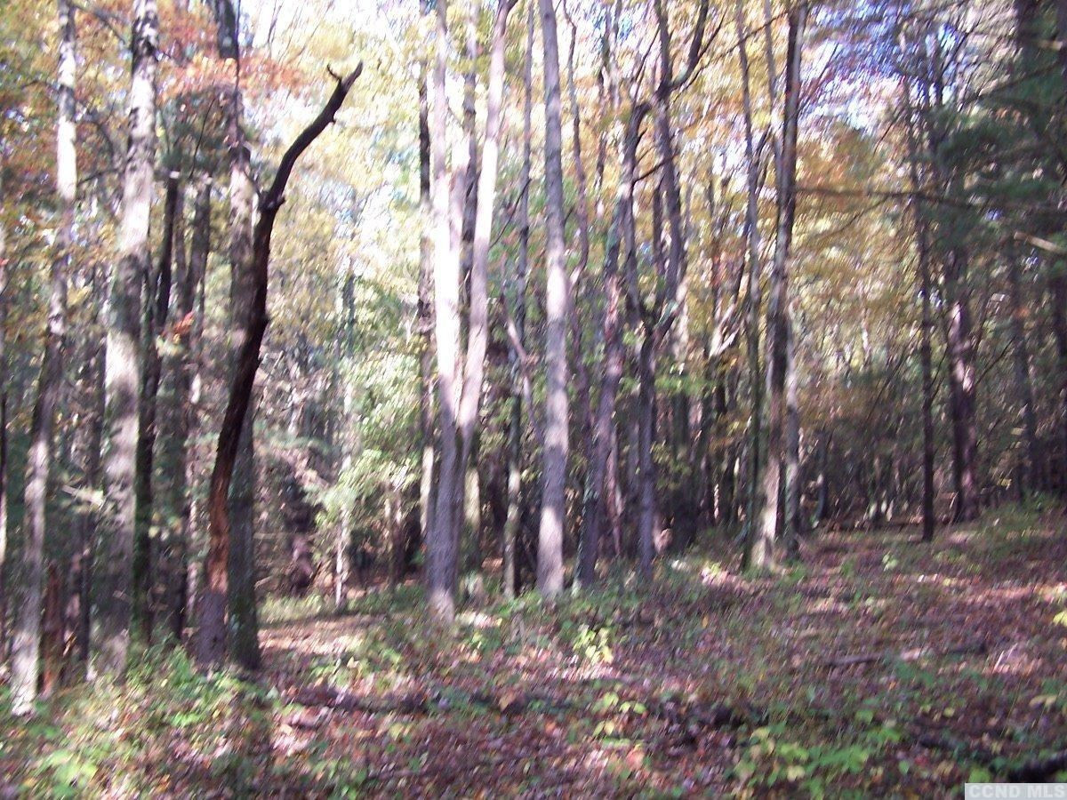 484 Saybrook Valley Road Durham, NY 12120 - Photo 7 of 10 a view of tree