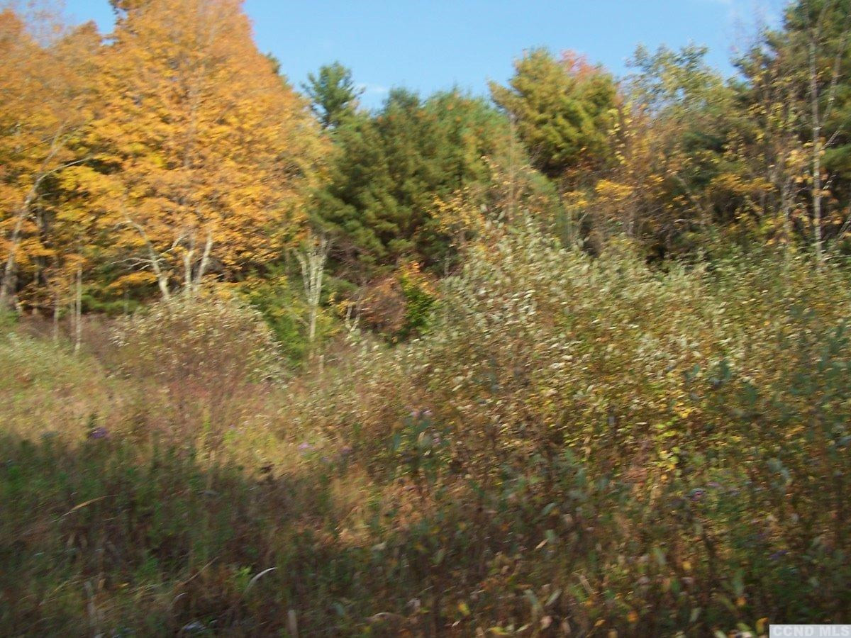 484 Saybrook Valley Road Durham, NY 12120 - Photo 9 of 10 a view of a yard