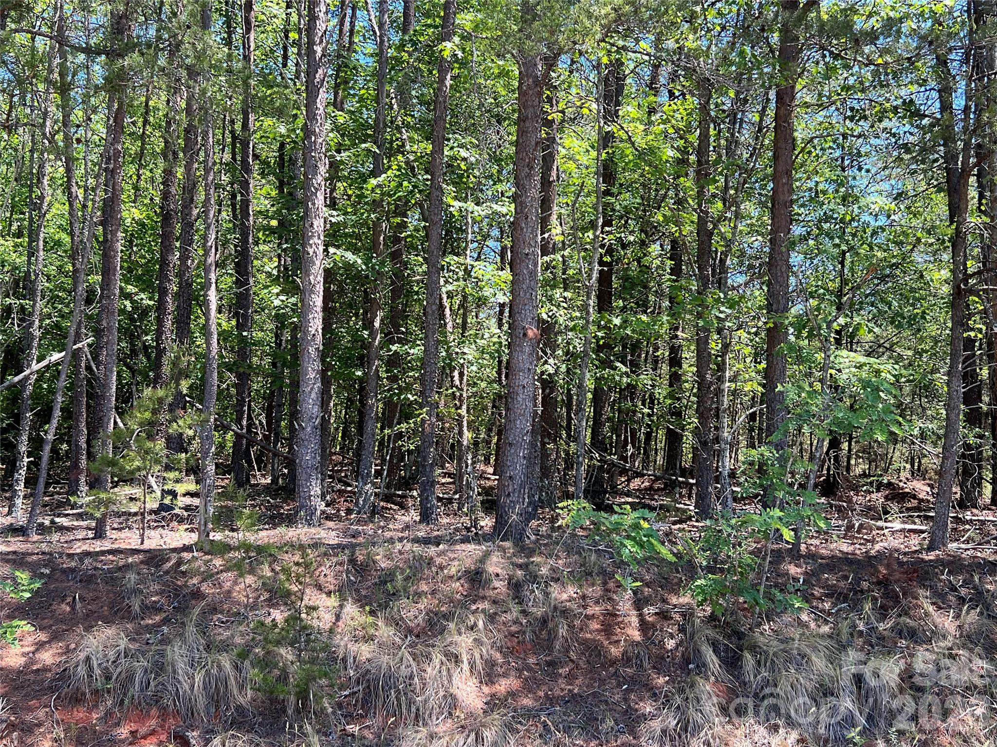 0 Luckadoo Mountain Road, Unit 177 Bostic, NC 28018 - Photo 9 of 11