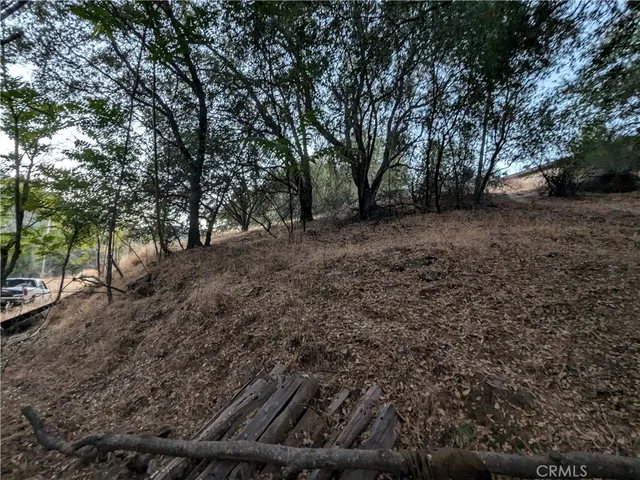 a view of a yard with an outdoor space