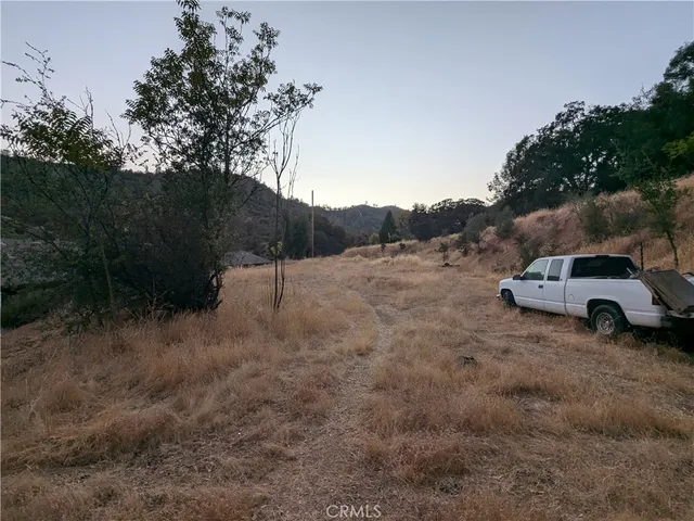 a view of a forest with trees in the background