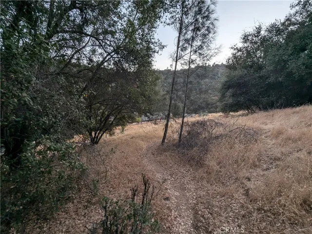 a view of a dry yard with trees in the background