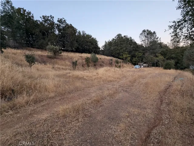 a view of outdoor space with trees
