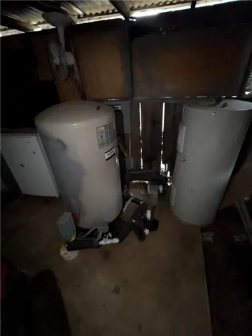 a view of a forest with trees in the background