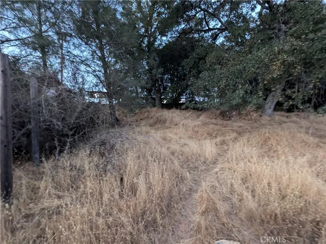 a view of electric and trees