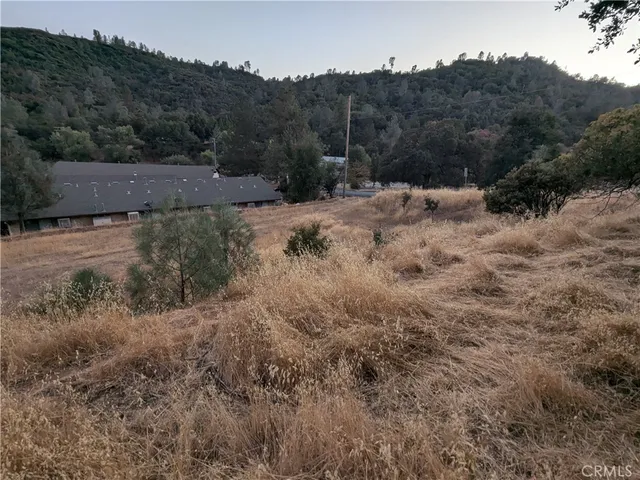 a view of a dry yard with trees in the background