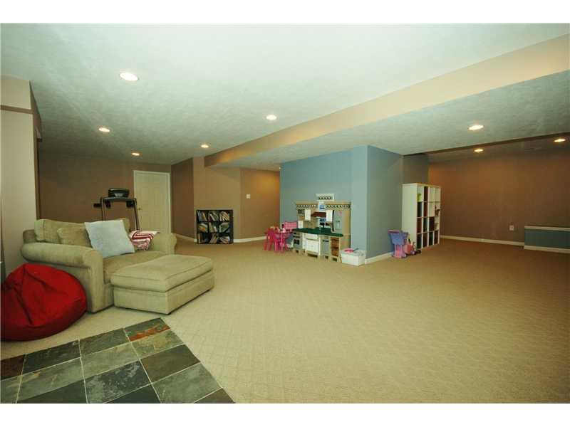 317 Buffalo Ridge Road Canonsburg, PA 15317 - Photo 22 of 25 Other. Finished Basement