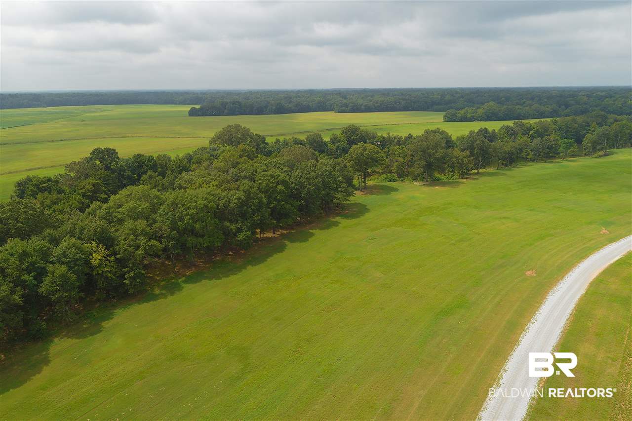 1 Jimmy Phillips Road Greensboro, AL 36744 - Photo 27 of 46