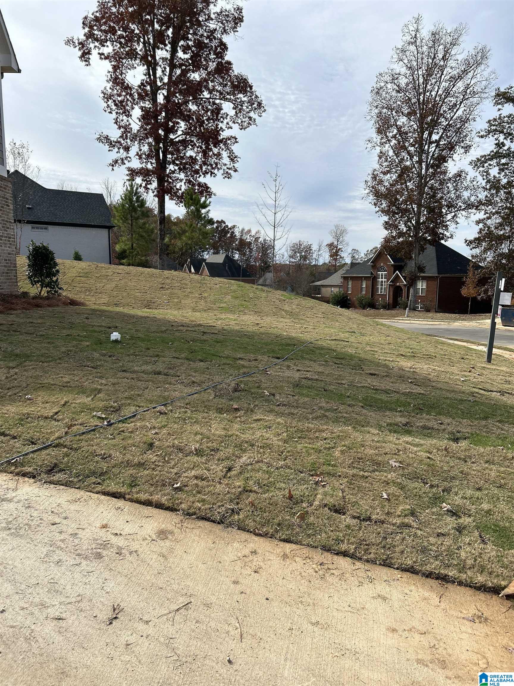 304 Cornwall Drive Alabaster, AL 35114 - Photo 11 of 71 Gallery Image 11