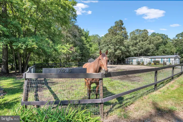 $320,000 | 17635 Cool Spring Road, Marydel, MD 21649