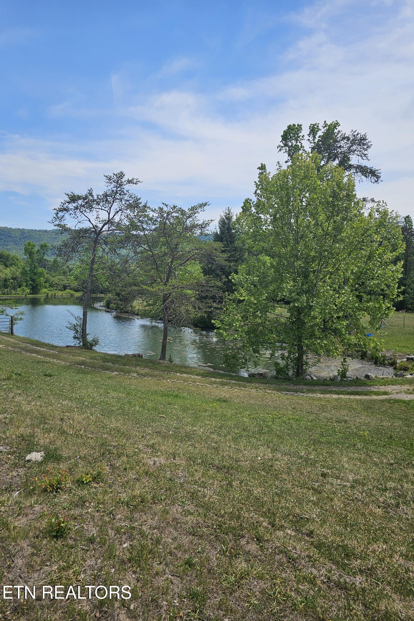 275 Republican Hill Road Newcomb, TN 37819 - Photo 19 of 34 Pond