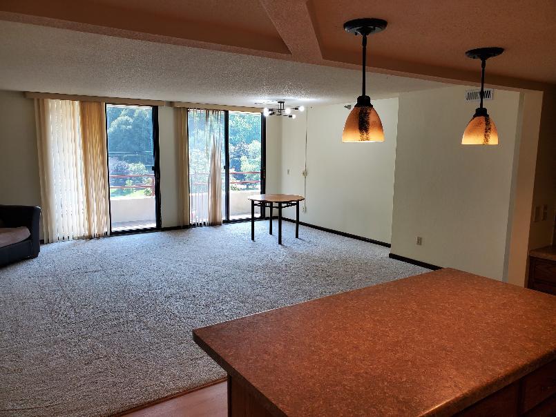 625 19th Street Northwest, Unit 300 Rochester, MN 55901 - Photo 43 of 85 Gallery Image 43