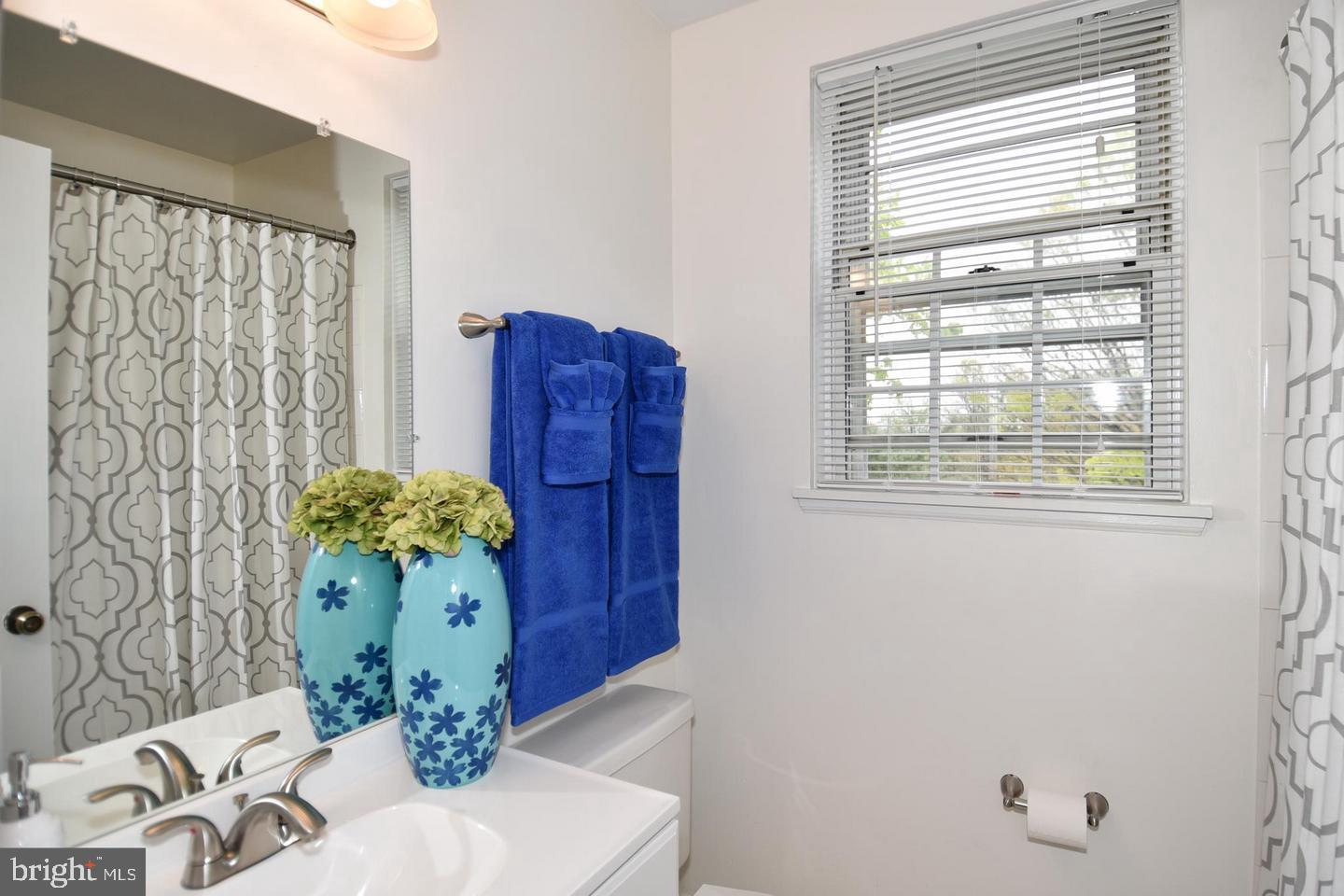 2829 South Abingdon Street, Unit B Arlington, VA 22206 - Photo 14 of 18 Bathroom