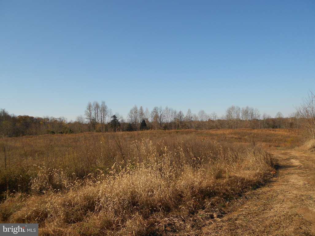 Trigger Lane King George, VA 22485 - Photo 3 of 4