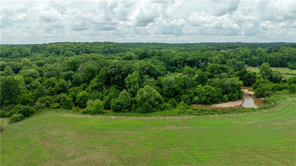 0 Ebenezer Church Road Winder, GA 30680 - Photo 20 of 22