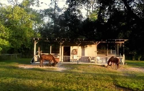 15531 42nd Road North Loxahatchee Groves, FL 33470 - Photo 34 of 62 00-aff9HbwSv2anWuuEP5nTaAJTGw3FNuhM3HKIT