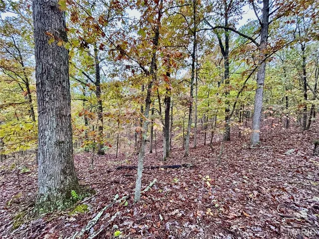 $275,000 | 1 County Road 4215, Salem, MO 65560